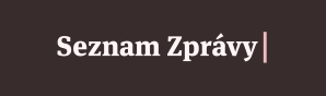 Seznam Zprávy